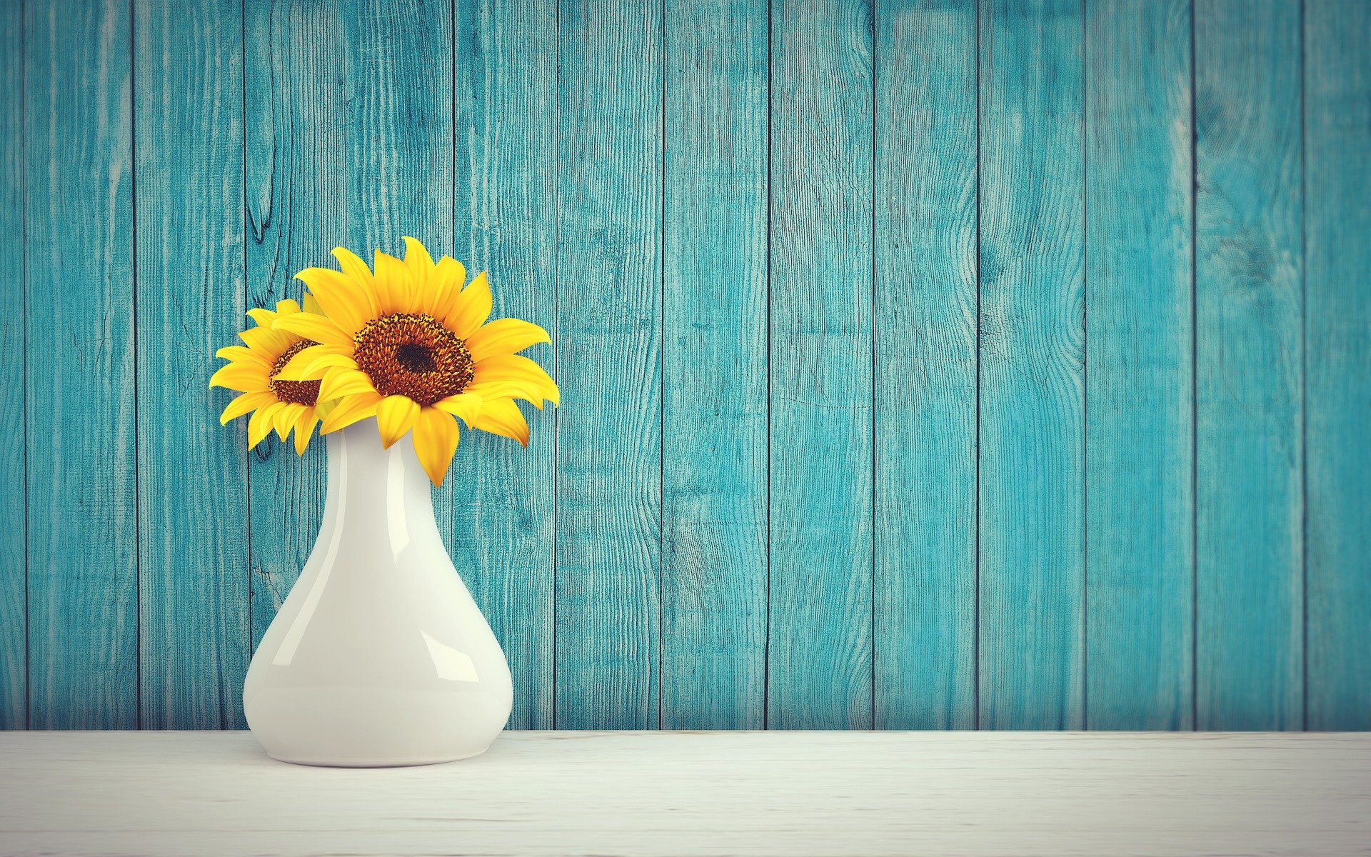 Foto einer Sonnenblume